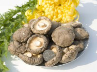 ���㹽